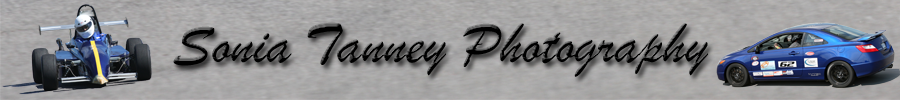 Gallery logo: Your photos on your web site