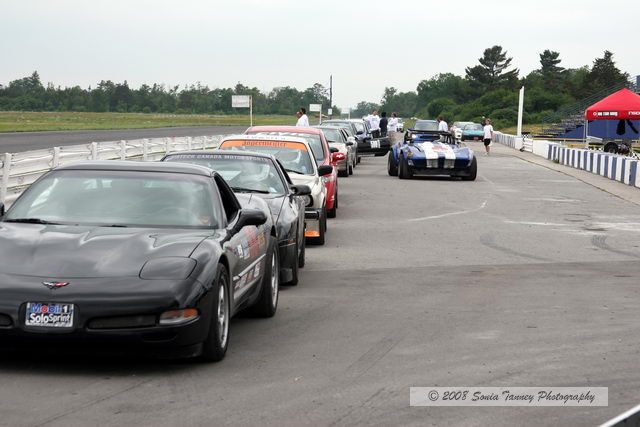 Paddock_2008_06_14_5347a.JPG