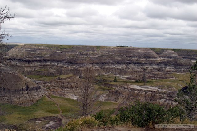 2005_08_18-Drumheller-7193a.jpg