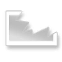 IMG 2872