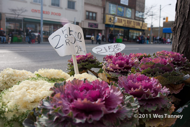 2011 12 03-LakeshoreShop-1659-web