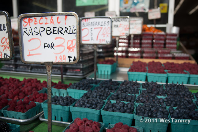 2011 12 03-LakeshoreShop-1686-web