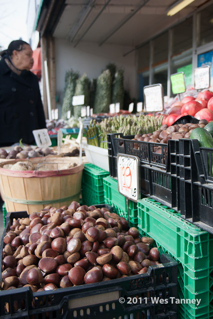 2011 12 03-LakeshoreShop-1690-web