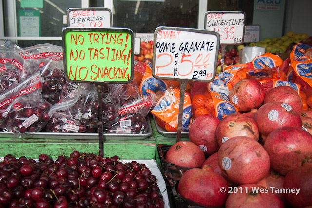 2011 12 03-LakeshoreShop-1694-web