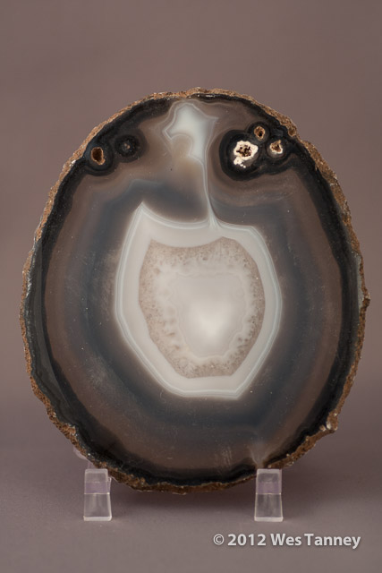 2012 11 18-Lightbox 0191-web