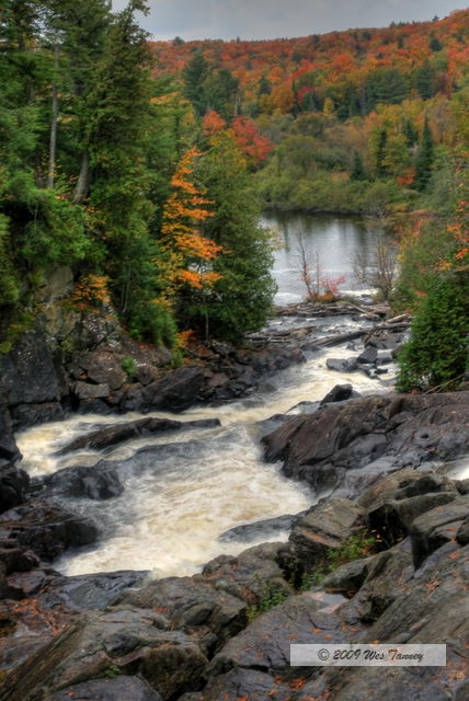 2009_10_03-AlgonquinPark_2171_69_70-web.jpg