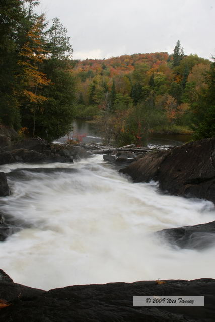2009_10_03-AlgonquinPark_2235-web.JPG