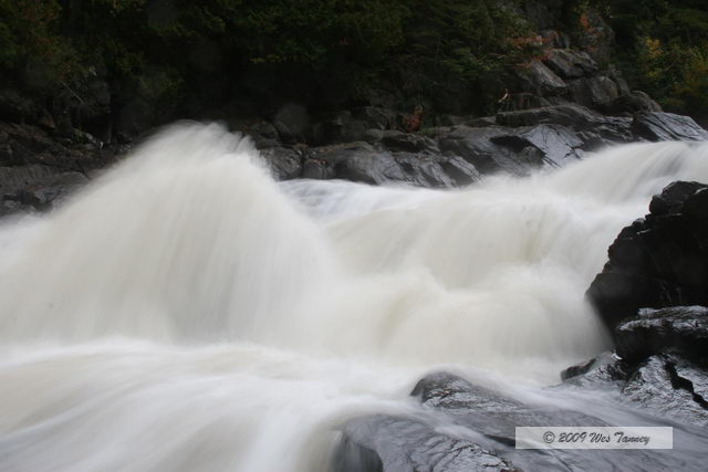 2009_10_03-AlgonquinPark_2244-web.jpg