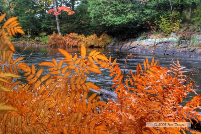2009_10_03-AlgonquinPark_2259_7_8-web.jpg