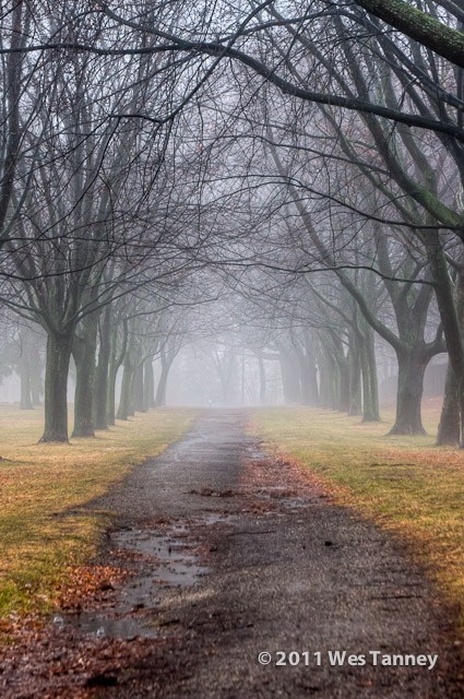 2011 01 01-FogWalk-9044 5 6-web