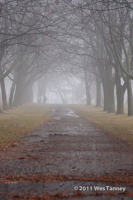 2011 01 01-FogWalk-9054-web