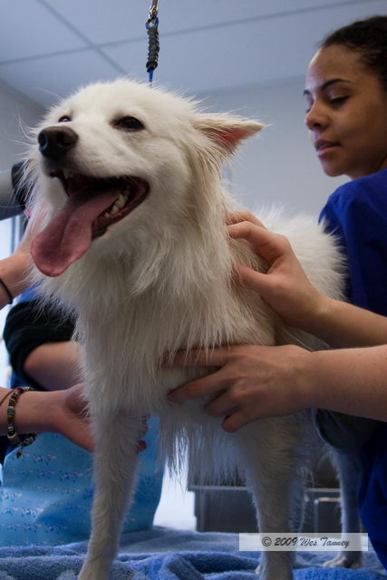 2010_02_02_College Activities_5576a-web.jpg