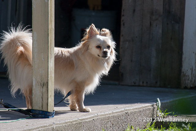 2012 05 20-Alaines 3649a-web