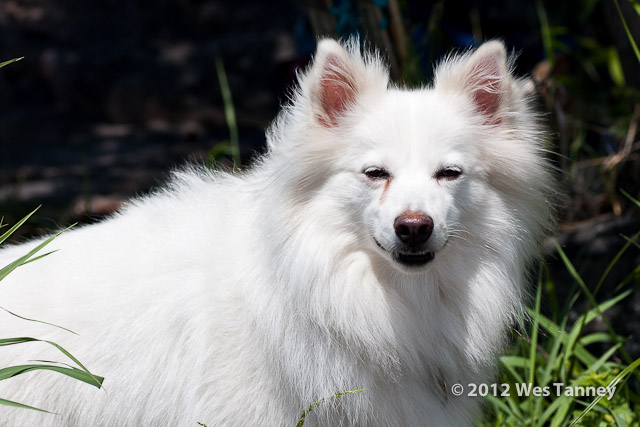 2012 06 30-Brockville 6638a-web