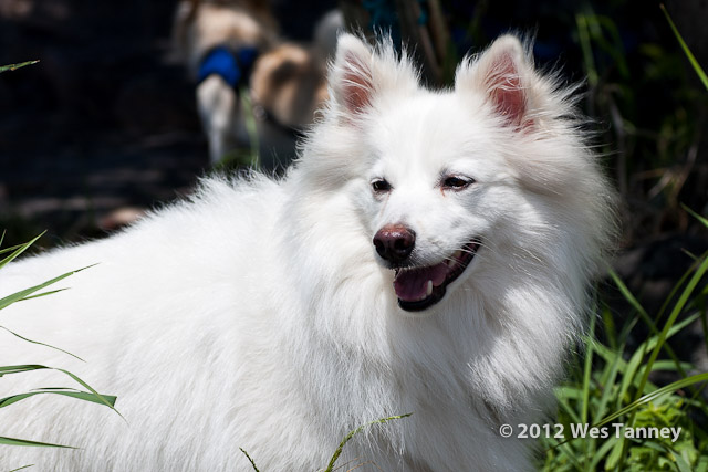 2012 06 30-Brockville 6640a-web