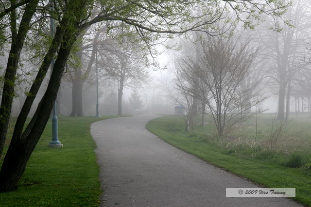 2009_05_08-ParkFog_9758-web.jpg