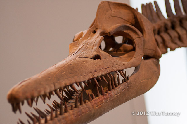 2012 07 02-ROM 7047a-web