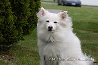 2011 06 04-OTAEvent1-0246-web