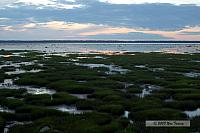2008_07_30_Rimouski_1077.JPG