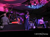 2014 06 24-DianneReeves 7408-web