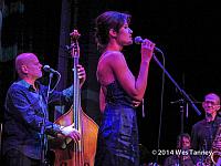 2014 04 11-GeorgeKollerQuartet 5531-web