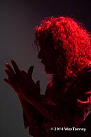 2014 09 30-RobertPlant 1070213-web