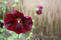 2007_10_14 - Photography Class Field Trip_8825.JPG