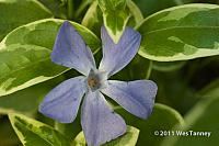 2011 06 01-Odinn-9930-web