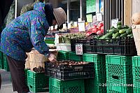 2011 12 03-LakeshoreShop-1667-web