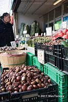 2011 12 03-LakeshoreShop-1690-web