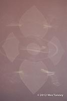 2012 10 12-Reflections 9987-web