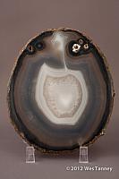 2012 11 18-Lightbox 0191-web