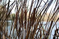 2007_10_31- College Walk_9253.JPG