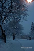 2008_02_06-Park Snow-0119a.JPG