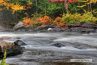 2009_10_03-AlgonquinPark_1910_08_09-web.jpg
