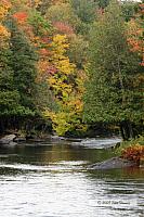 2009_10_03-AlgonquinPark_2153-web.JPG