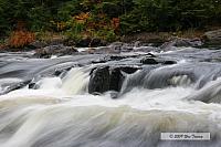 2009_10_03-AlgonquinPark_2205-web.jpg