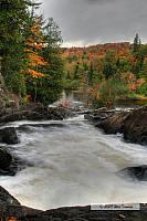 2009_10_03-AlgonquinPark_2237_5_6-web.jpg