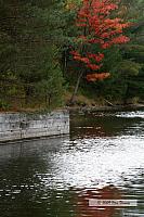 2009_10_04-AlgonquinPark_2490-web.jpg