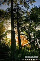 2009_10_17-HighPark_3799_7_8-web.jpg