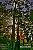 2009_10_17-HighPark_3802_3_4-web.jpg