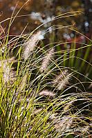 2010_10_16-HighPark_8236-web.jpg