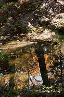 2010_10_16-HighPark_8288-web.jpg
