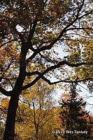 2010_10_16-HighPark_8326-web.jpg
