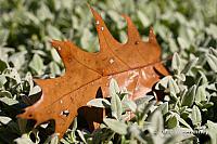 2010_10_16-HighPark_8501-web.jpg
