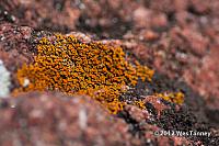 2012 06 30-Brockville 6608a-web