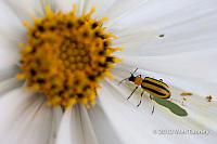 2012 10 06-AfterTheRain 9765-web