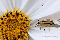 2012 10 06-AfterTheRain 9781-web