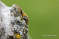 2012 10 07-Alaines 9967-web