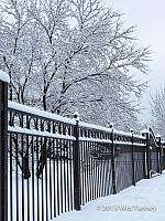 2013 02 28-Snow 0651-web